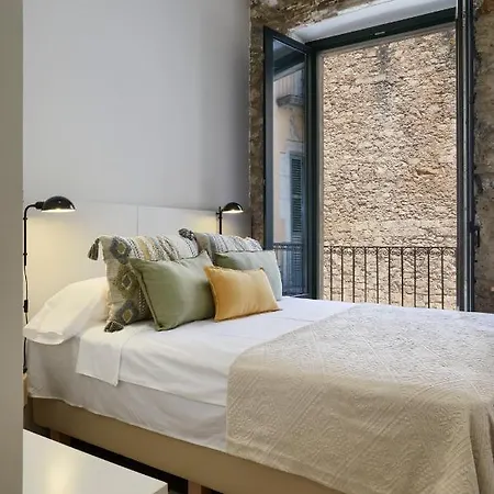 Gaia & Lofts 公寓 赫罗纳